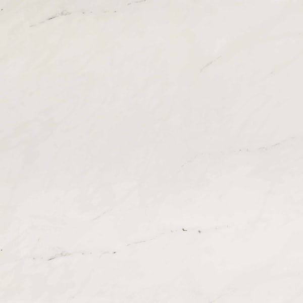 Msi Aria Ice 24 In. X 24 In. Polished Porcelain Floor And Wall